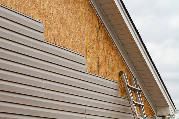 Affordable Siding Repair and Maintenance Services in Knik Fairview, AK